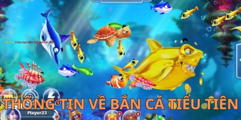 Một số thông tin cơ bản của trò chơi bắn cá Tiểu Tiên